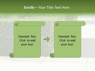 A Row Of Hedges On A Sidewalk In Front Of A Building PowerPoint Template