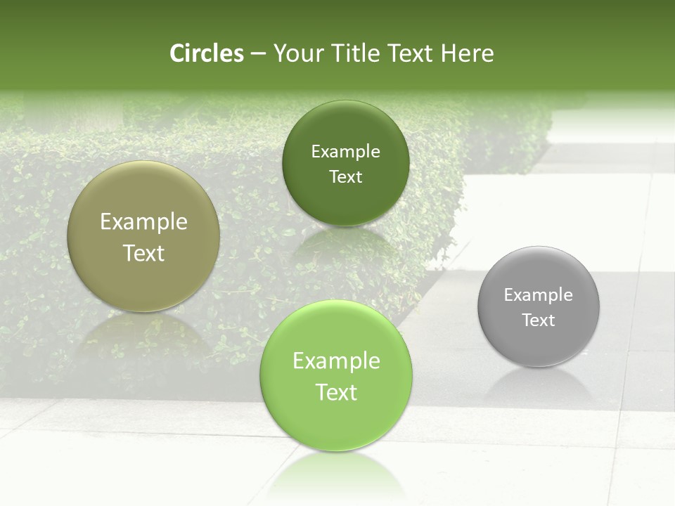 A Row Of Hedges On A Sidewalk In Front Of A Building PowerPoint Template