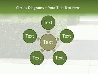 A Row Of Hedges On A Sidewalk In Front Of A Building PowerPoint Template