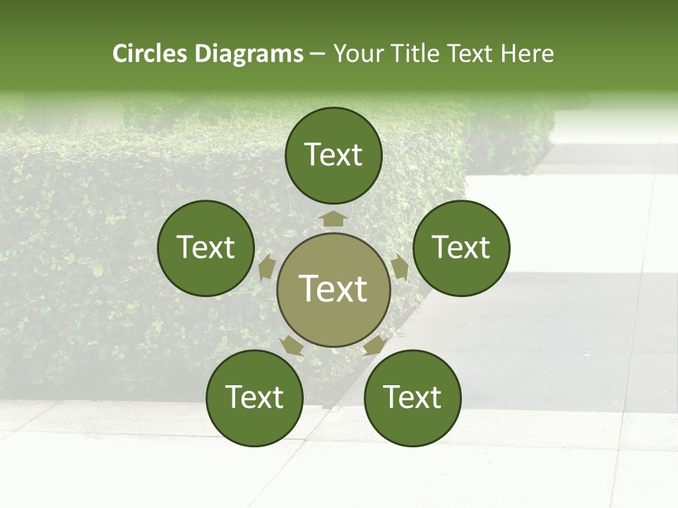 A Row Of Hedges On A Sidewalk In Front Of A Building PowerPoint Template