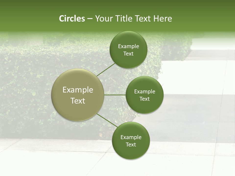 A Row Of Hedges On A Sidewalk In Front Of A Building PowerPoint Template