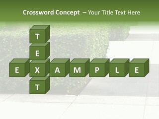 A Row Of Hedges On A Sidewalk In Front Of A Building PowerPoint Template