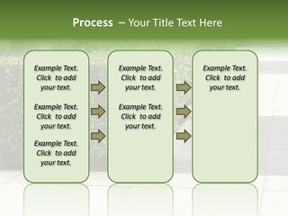 A Row Of Hedges On A Sidewalk In Front Of A Building PowerPoint Template