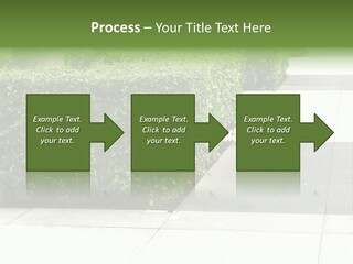 A Row Of Hedges On A Sidewalk In Front Of A Building PowerPoint Template