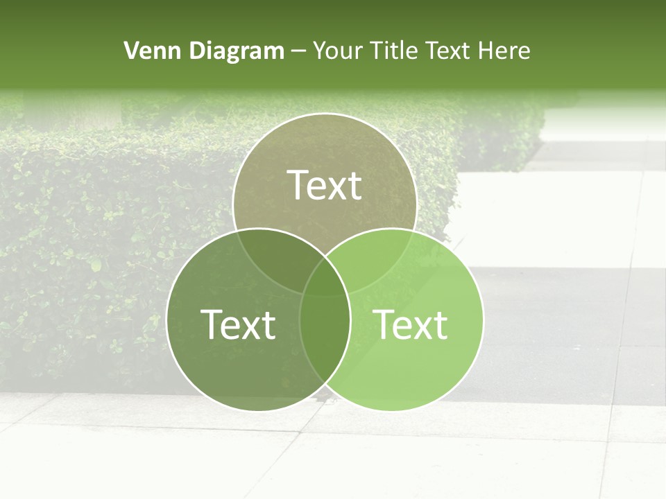 A Row Of Hedges On A Sidewalk In Front Of A Building PowerPoint Template