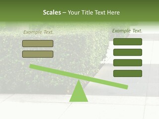 A Row Of Hedges On A Sidewalk In Front Of A Building PowerPoint Template