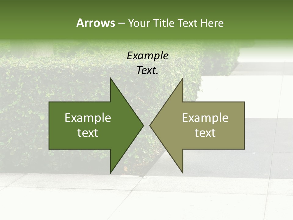 A Row Of Hedges On A Sidewalk In Front Of A Building PowerPoint Template
