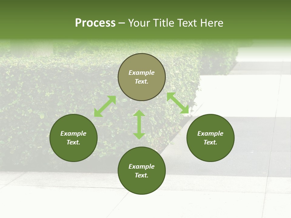 A Row Of Hedges On A Sidewalk In Front Of A Building PowerPoint Template