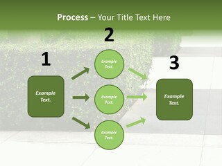 A Row Of Hedges On A Sidewalk In Front Of A Building PowerPoint Template