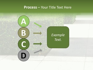 A Row Of Hedges On A Sidewalk In Front Of A Building PowerPoint Template