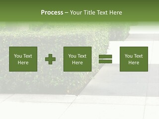 A Row Of Hedges On A Sidewalk In Front Of A Building PowerPoint Template