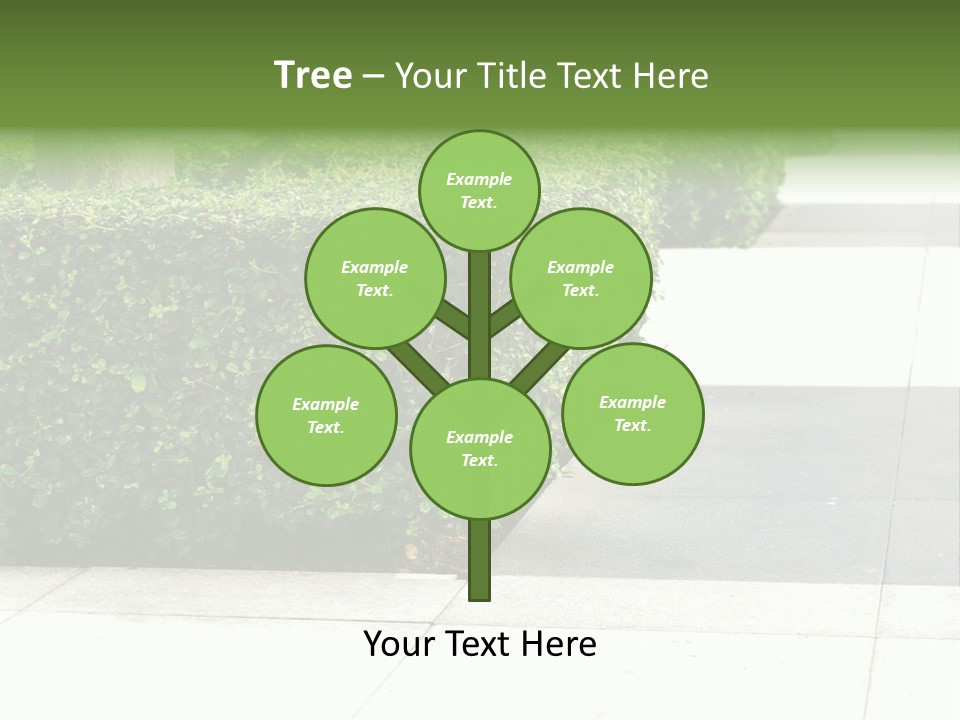 A Row Of Hedges On A Sidewalk In Front Of A Building PowerPoint Template