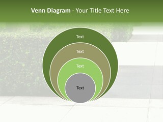 A Row Of Hedges On A Sidewalk In Front Of A Building PowerPoint Template