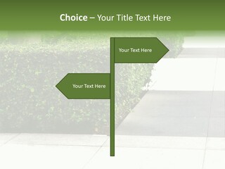 A Row Of Hedges On A Sidewalk In Front Of A Building PowerPoint Template