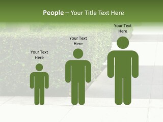 A Row Of Hedges On A Sidewalk In Front Of A Building PowerPoint Template