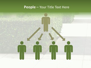 A Row Of Hedges On A Sidewalk In Front Of A Building PowerPoint Template