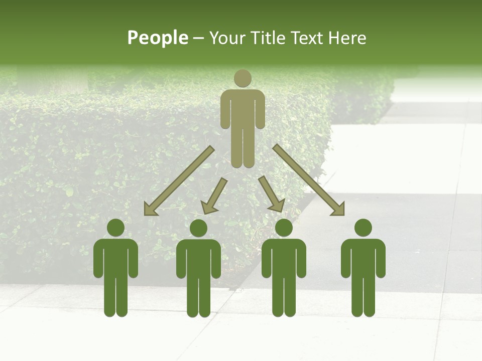 A Row Of Hedges On A Sidewalk In Front Of A Building PowerPoint Template