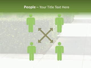 A Row Of Hedges On A Sidewalk In Front Of A Building PowerPoint Template