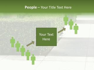 A Row Of Hedges On A Sidewalk In Front Of A Building PowerPoint Template