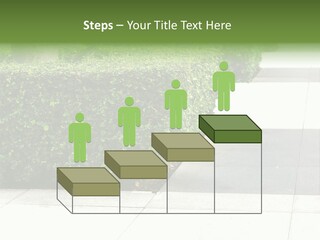 A Row Of Hedges On A Sidewalk In Front Of A Building PowerPoint Template