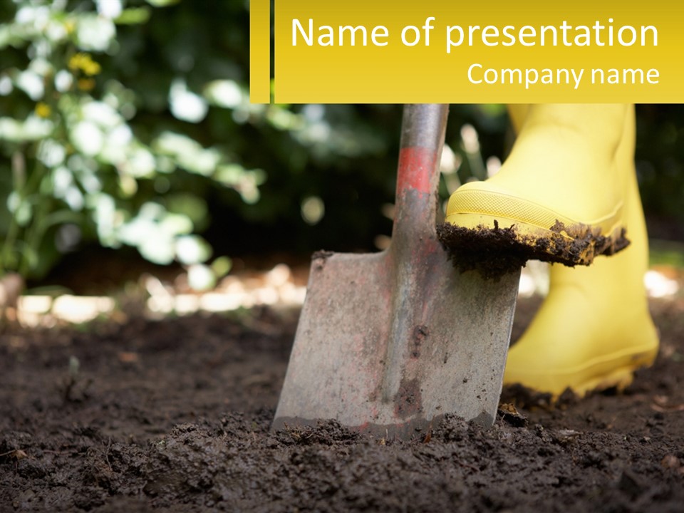 A Person In Yellow Rubber Boots Digging In The Dirt With A Shovel PowerPoint Template