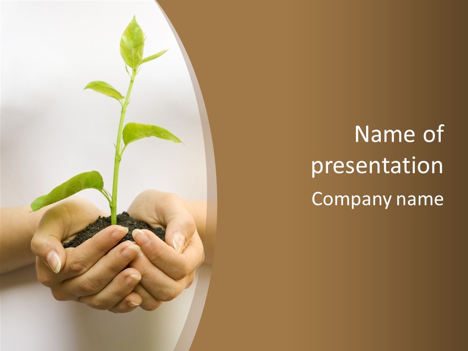 A Person Holding A Plant In Their Hands PowerPoint Template