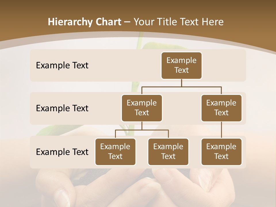 A Person Holding A Plant In Their Hands PowerPoint Template