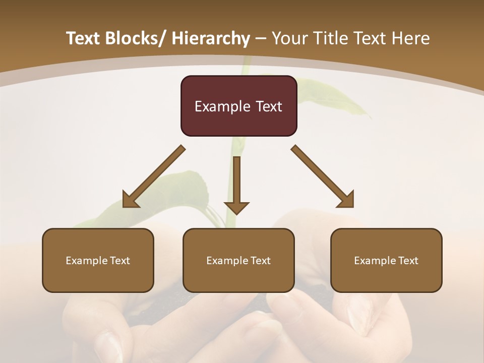 A Person Holding A Plant In Their Hands PowerPoint Template