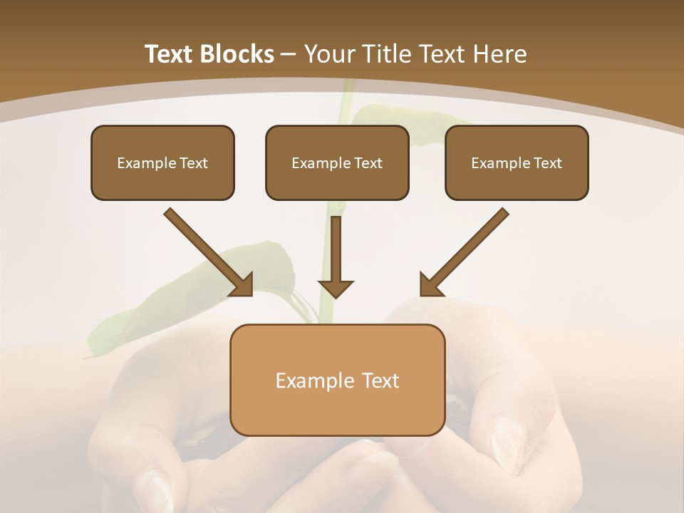 A Person Holding A Plant In Their Hands PowerPoint Template