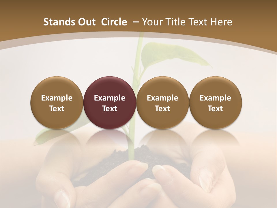 A Person Holding A Plant In Their Hands PowerPoint Template