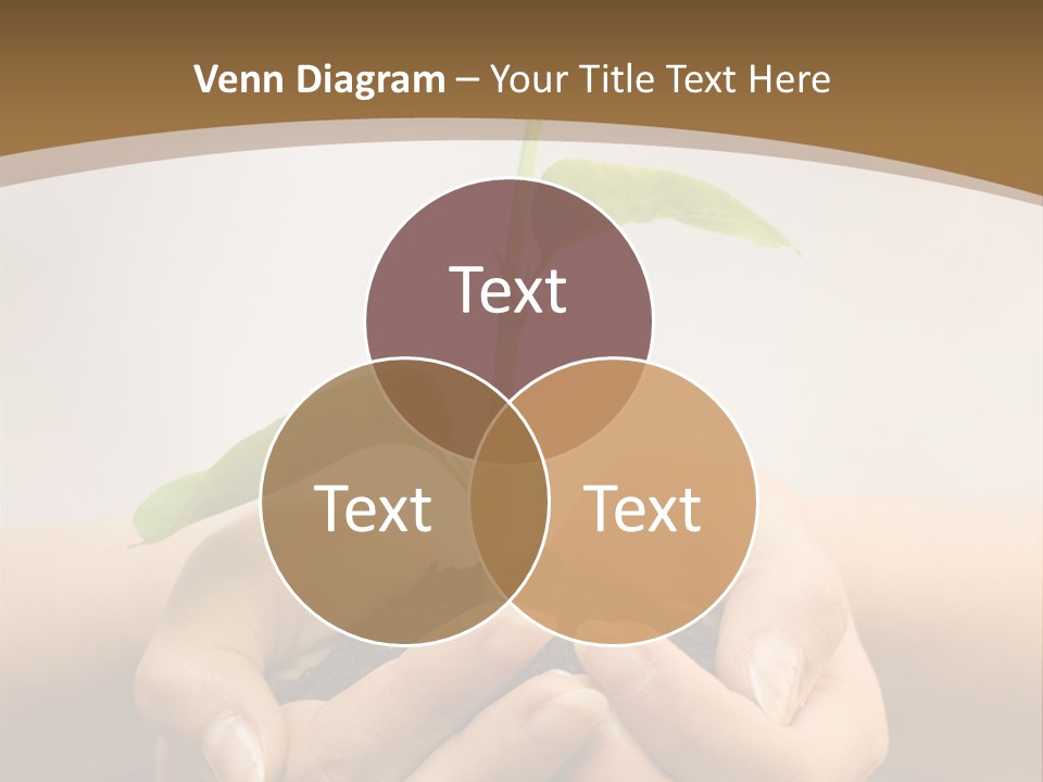 A Person Holding A Plant In Their Hands PowerPoint Template