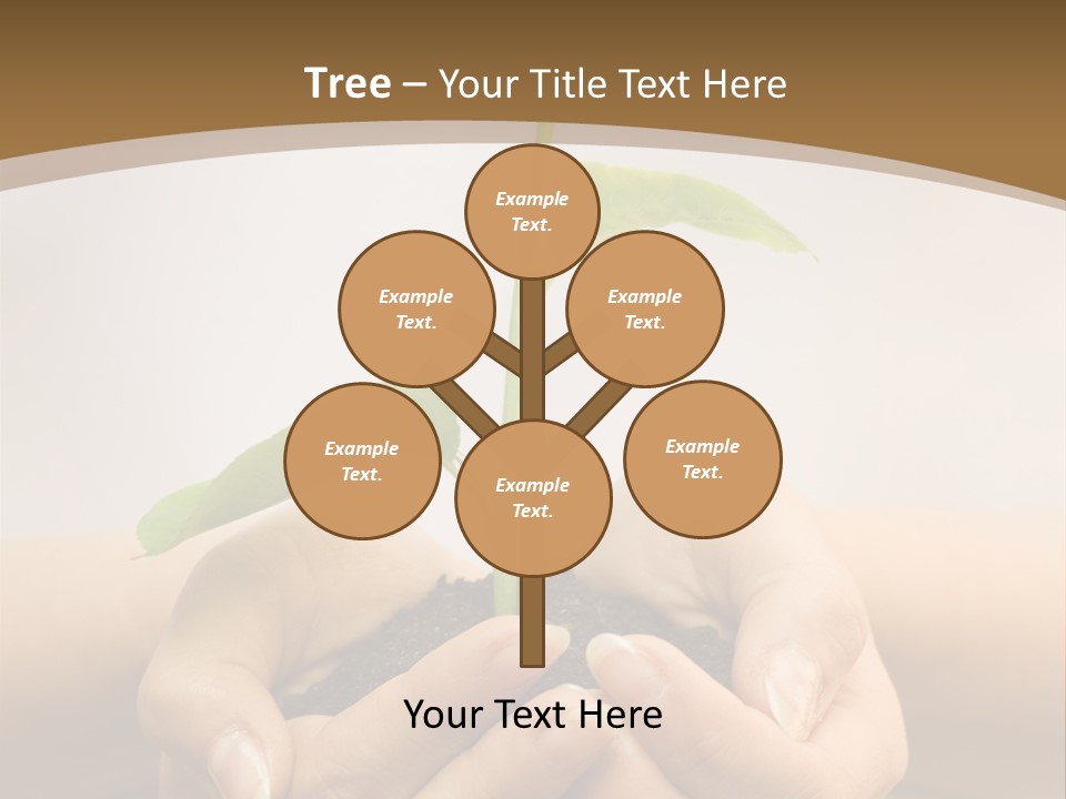 A Person Holding A Plant In Their Hands PowerPoint Template