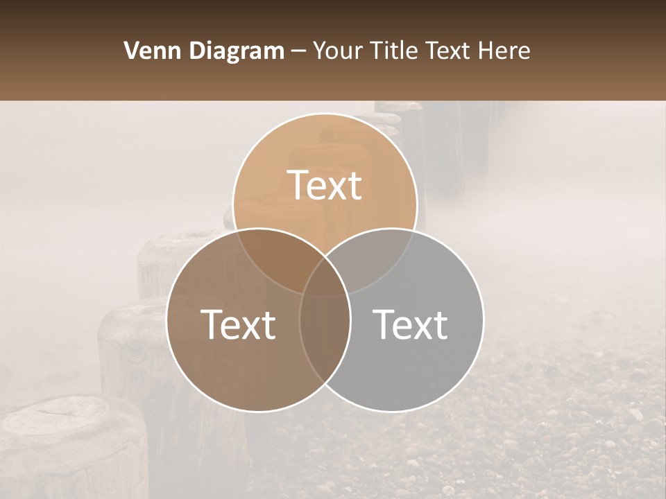 A Row Of Wooden Logs Sitting On Top Of A Beach PowerPoint Template