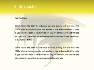 A Close Up Of A Bee On A White Background PowerPoint Template