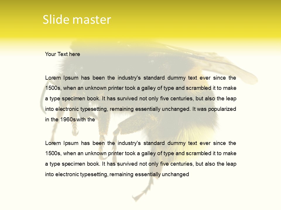 A Close Up Of A Bee On A White Background PowerPoint Template