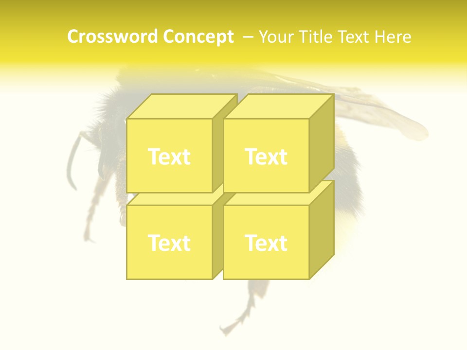 A Close Up Of A Bee On A White Background PowerPoint Template