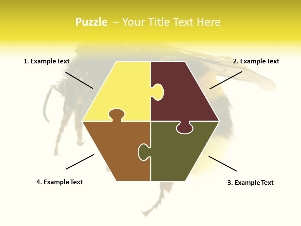 A Close Up Of A Bee On A White Background PowerPoint Template