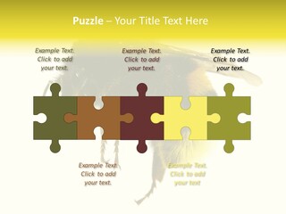 A Close Up Of A Bee On A White Background PowerPoint Template