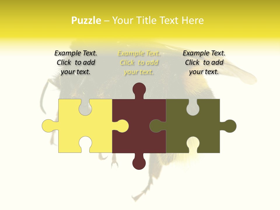 A Close Up Of A Bee On A White Background PowerPoint Template