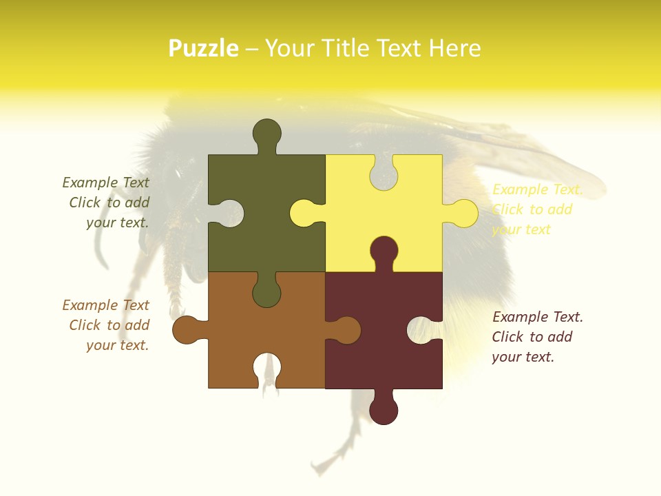 A Close Up Of A Bee On A White Background PowerPoint Template