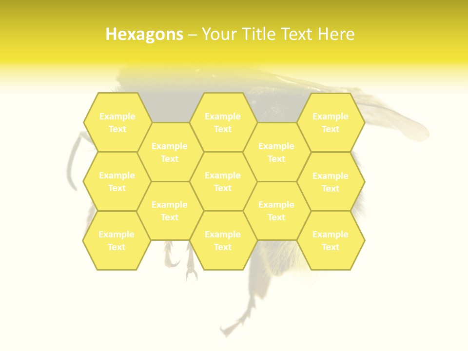 A Close Up Of A Bee On A White Background PowerPoint Template