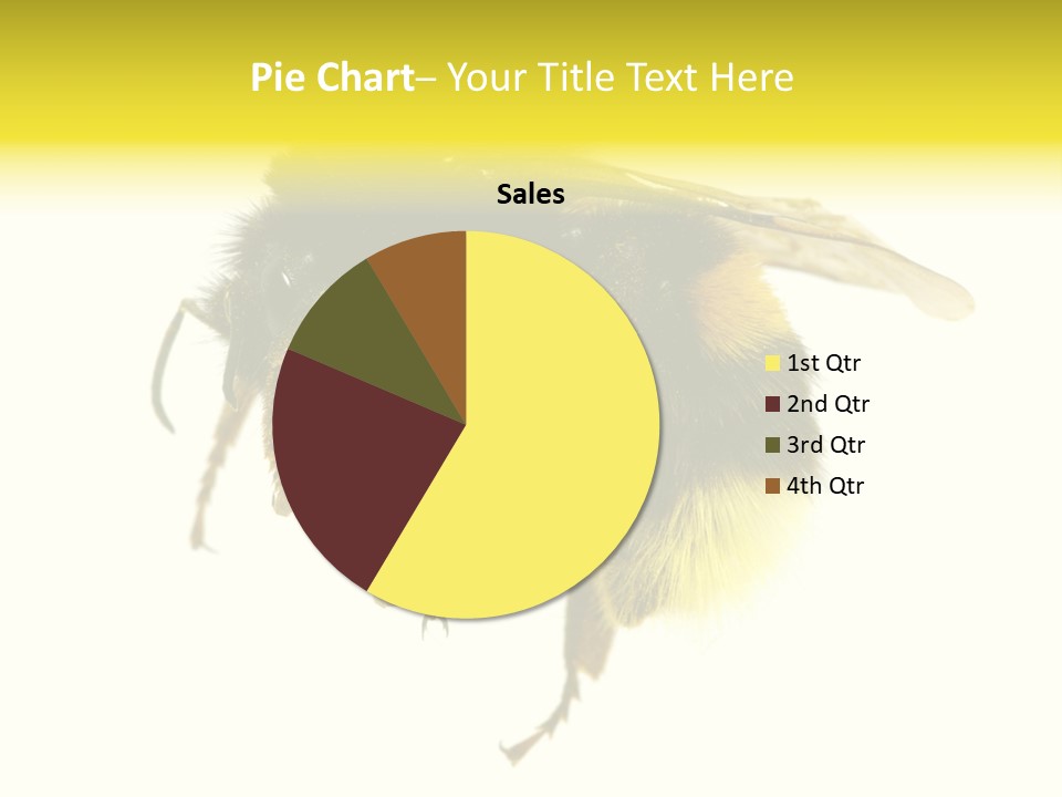 A Close Up Of A Bee On A White Background PowerPoint Template