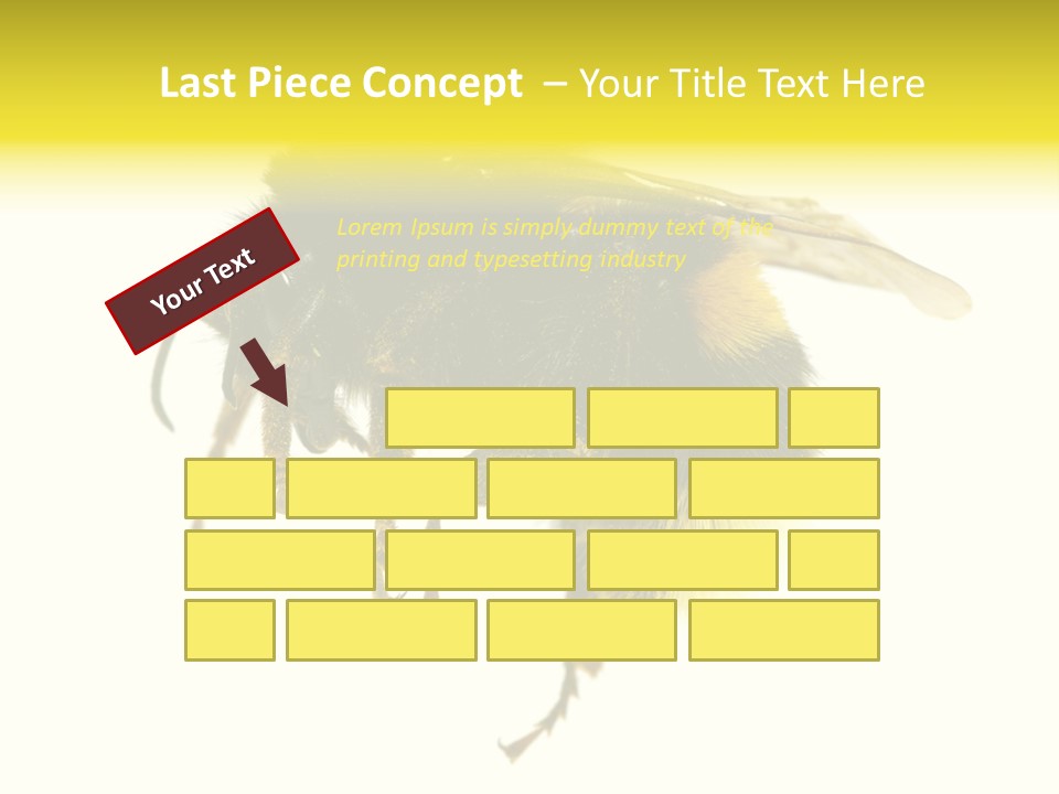 A Close Up Of A Bee On A White Background PowerPoint Template