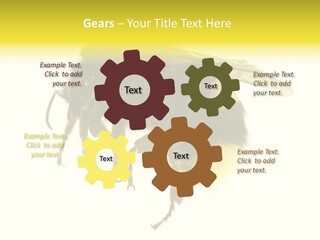 A Close Up Of A Bee On A White Background PowerPoint Template