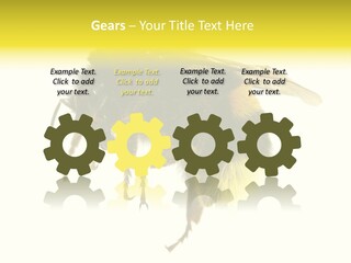 A Close Up Of A Bee On A White Background PowerPoint Template