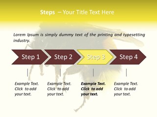 A Close Up Of A Bee On A White Background PowerPoint Template