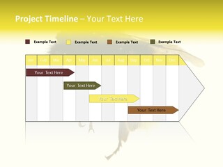 A Close Up Of A Bee On A White Background PowerPoint Template