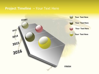 A Close Up Of A Bee On A White Background PowerPoint Template