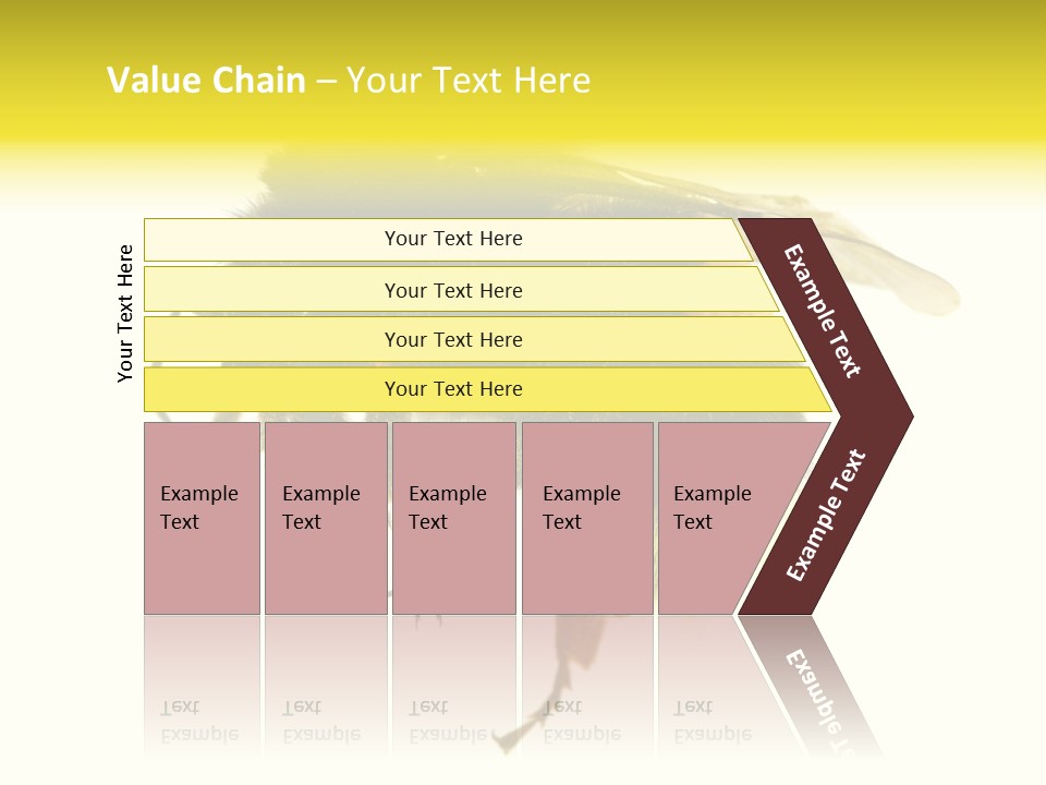 A Close Up Of A Bee On A White Background PowerPoint Template