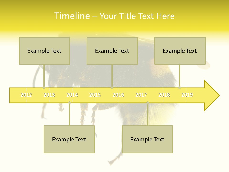 A Close Up Of A Bee On A White Background PowerPoint Template